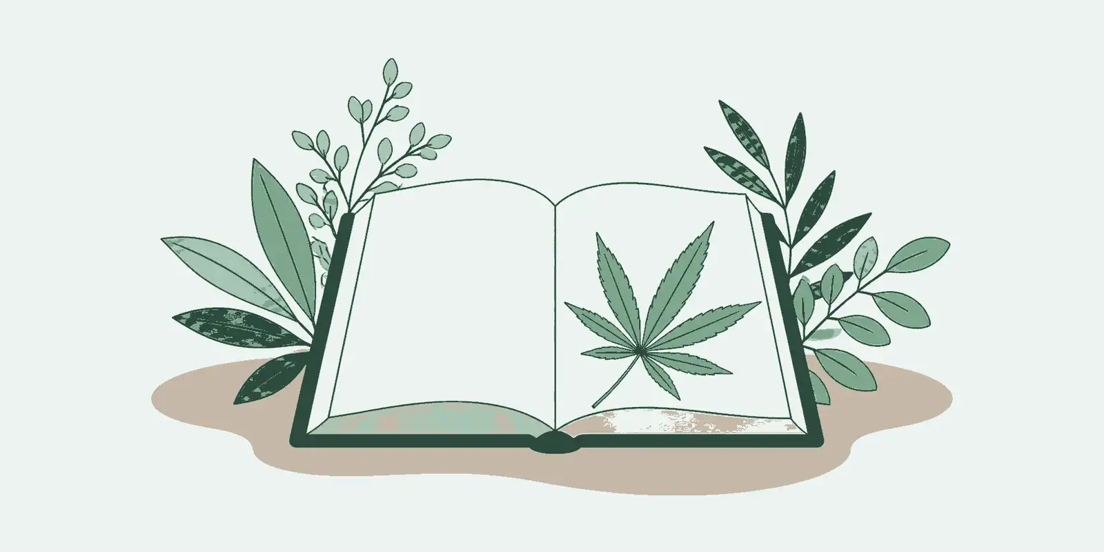 CBD en slaap: wat zegt onderzoek?