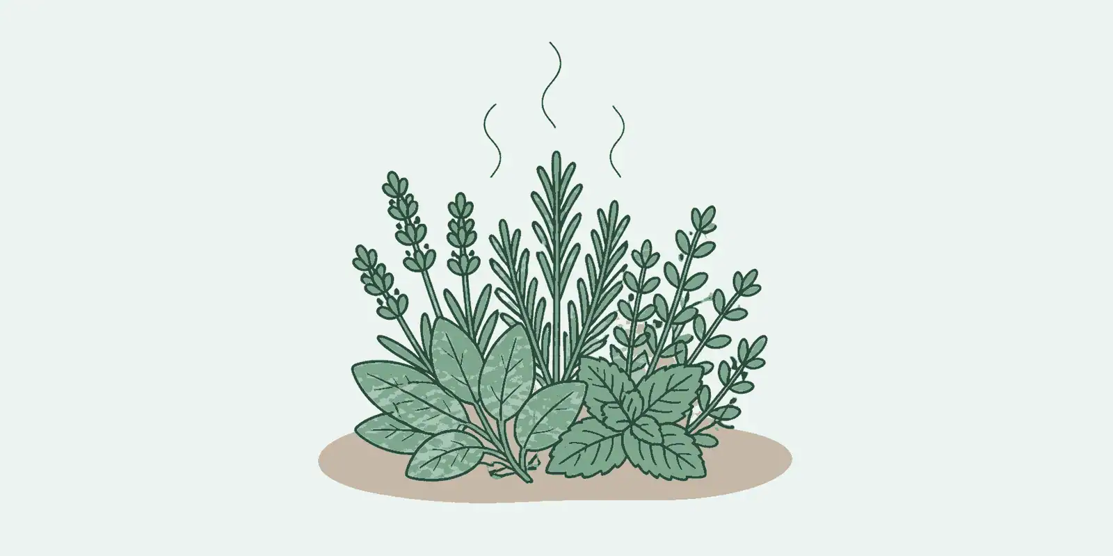 Wat zijn terpenen?