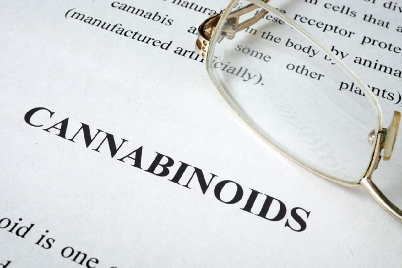 De werkzame stoffen in cannabis noemen we cannabinoïden. Maar wat zijn cannabinoïden eigenlijk precies, welke kennen we en hoe werken ze? U ontdekt het hier.