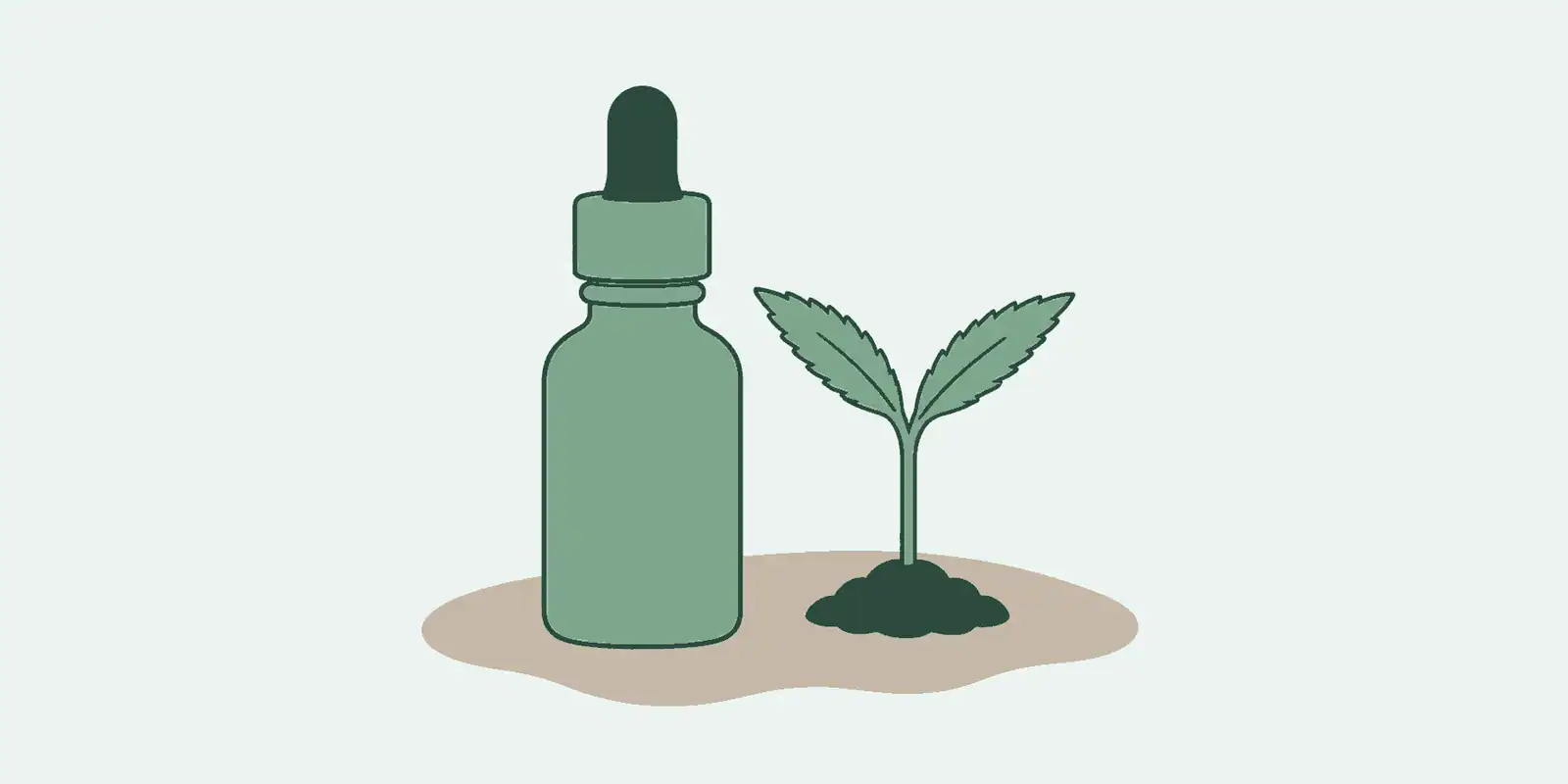 Wat is CBG olie? Over deze cannabinoïde