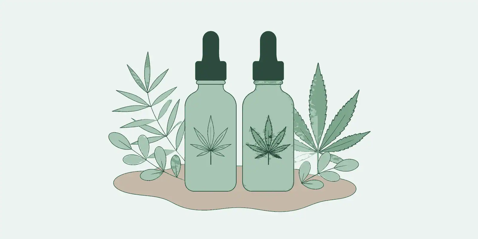 CBD olie vs wietolie: wat zijn de verschillen?