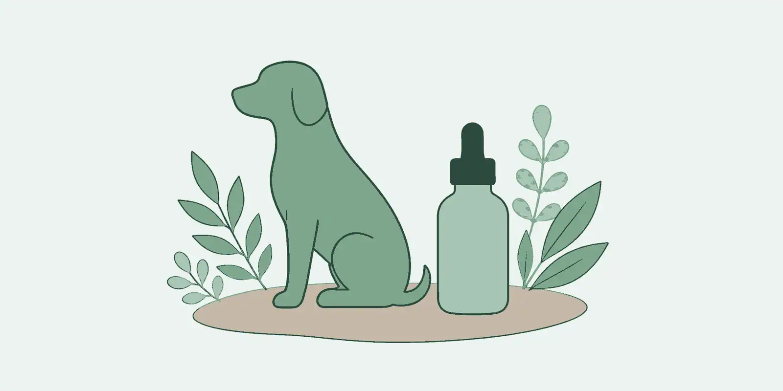CBD olie voor honden: onderzoek, veiligheid & werking