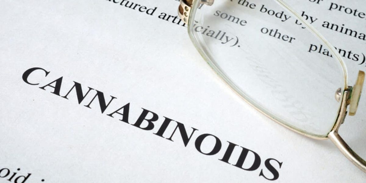 De werkzame stoffen in cannabis noemen we cannabinoïden. Maar wat zijn cannabinoïden eigenlijk precies, welke kennen we en hoe werken ze? U ontdekt het hier.