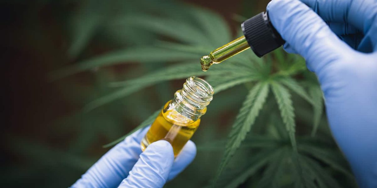 CBD druppels zijn de afgelopen jaren enorm populair geworden als voedingssupplement. Maar wat is dit precies en hoe werkt het? U leest het hier.