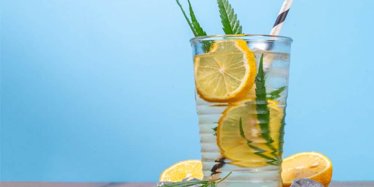 CBD drankjes zijn verfrissende dranken waarin cannabidiol is verwerkt. Zelf zijn we gek op deze 7 heerlijke recepten om CBD te drinken!